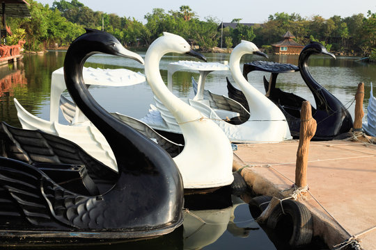 pedal boats