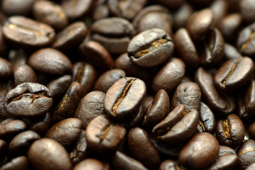 roasted coffee beans