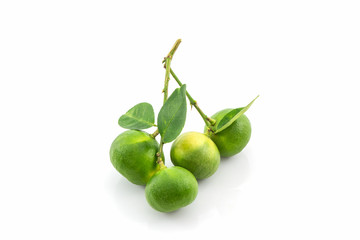 Close up fresh limes.