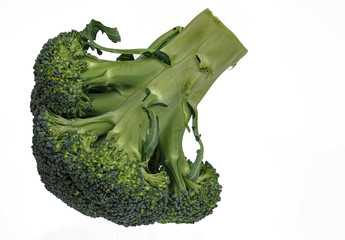 frischer roher Broccoli zum Freistellen