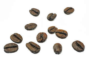 Obraz premium wenige geroestete Kaffeebohnen zum Freistellen