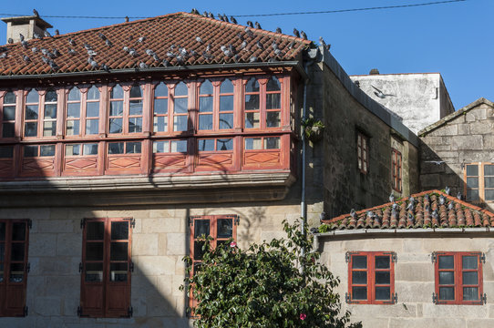 Pigeons on the tiled roof. Photo taken in the Herreria Square, Pontevedra, Spain.