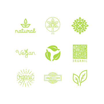Vector set of green and organic products labels and badges