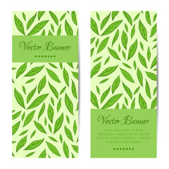 Vector banners, cards set. Green leaves pattern