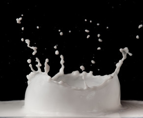 splashing milk isolated on black background