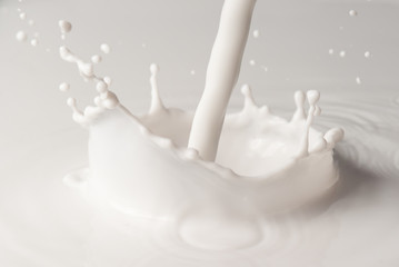 Pouring milk splash on white background