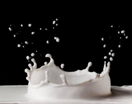splashing milk isolated on black background