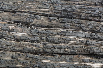 Verbrannte Holzoberfläche, formatfüllend