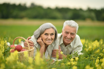 Amusing old couple on picnic