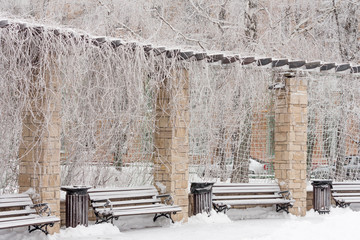 frozen bench in the park