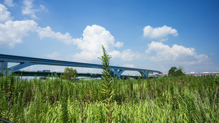 荒川河川敷