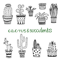 Hand drawn succulent and cactuse set. Doodle florals in pots. Vector botanical set with cute house interior plants.