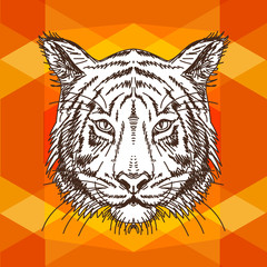 Vector illustration with tiger head. Hand drawn sketch. 