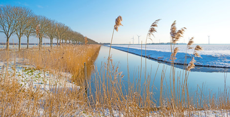Canal through a snowy landscape in winter 