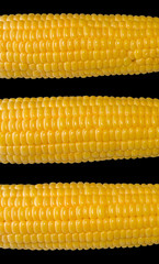 image of Corn closeup on a black background