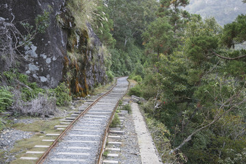 Fototapeta na wymiar Minecart rail in Yakushima forest