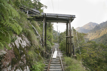 Minecart rail in Yakushima forest