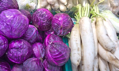 Fototapeta premium red cabbages and dajkons