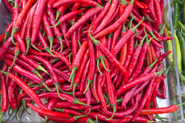 red hot chili peppers