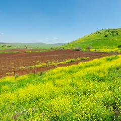 Fototapeta na wymiar Golan Heights