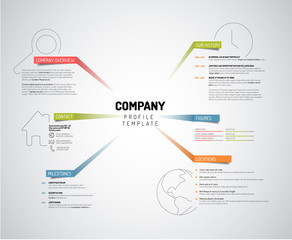 Vector Company infographic overview design template