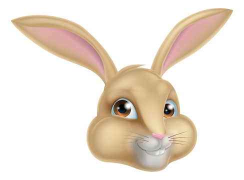 Cute Cartoon Bunny Rabbit