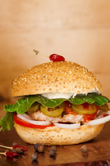 Appetizing burger closeup