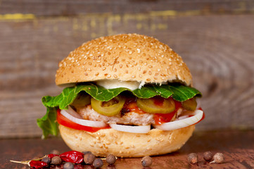 Appetizing burger closeup