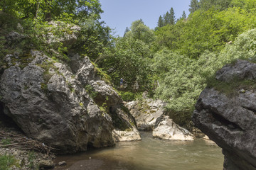 Fototapeta na wymiar Green forest around Erma River Gorge, Bulgaria