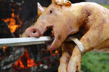 Spanferkel am Spieß 