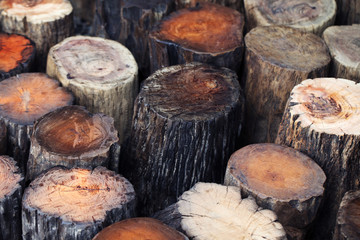 grunge stump background.