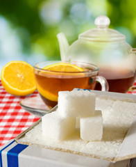 cup of tea on nature