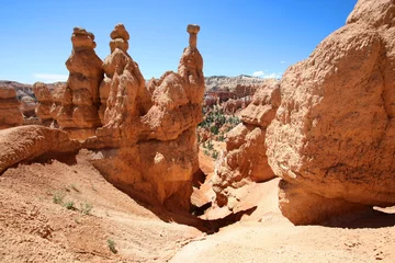 Abwaschbare Fototapete Naturpark USA - Bryce-Canyon-Nationalpark (Utah)