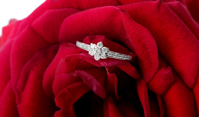 Piękny pierścionek zaręczynowy między płatkami róży