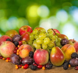 many fruits and berries on a green background