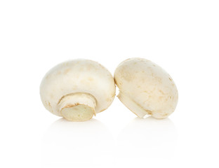 Champignon Isolated on White Background