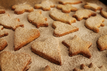 Christmas home-made cookies with sugar powder