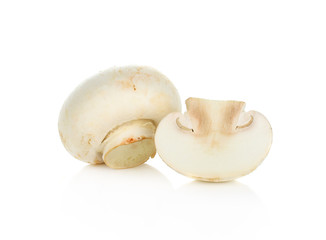 Champignon Isolated on White Background