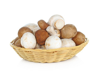 shiitake and champignon  mushroom in basket isolated on white ba