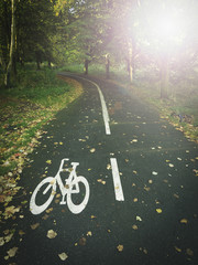 Fototapeta na wymiar bicycle lane in the forest park