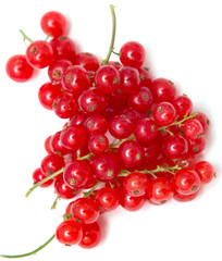 Ripe red currant on a white background