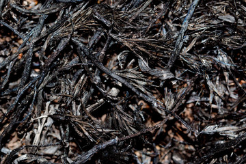 black and white abstract background