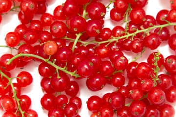 Ripe red currant on a white background