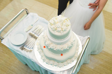 White Weddding Cake