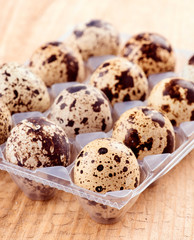 Group of quail eggs on wooden base