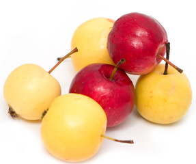 red and yellow apples on a white background