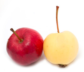 red and yellow apples on a white background