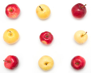 red and yellow apples on a white background
