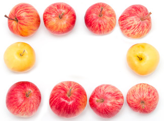 red and yellow apples on a white background
