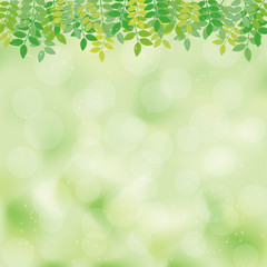 Fototapeta premium blur leaf background